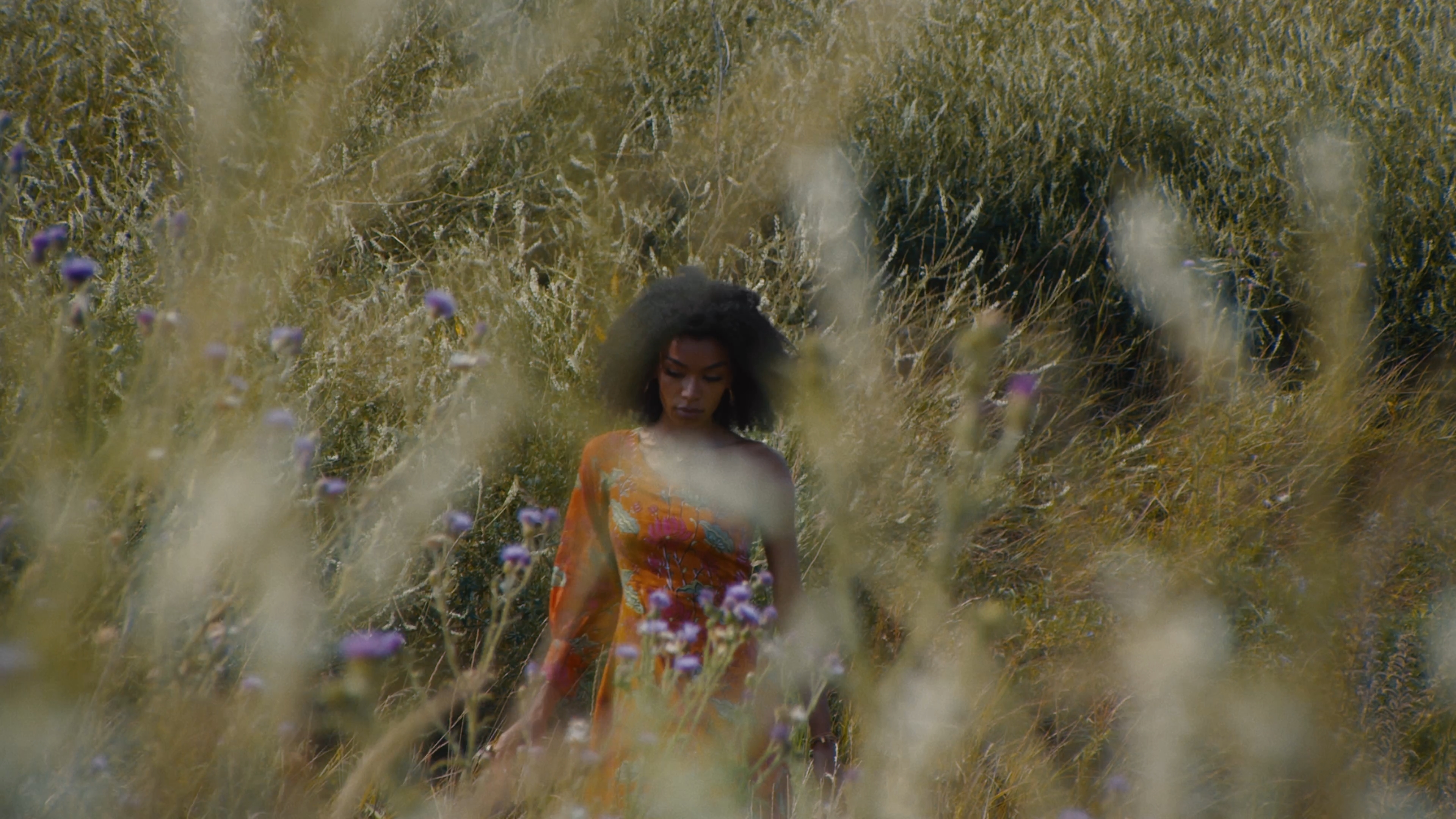 Sanzaar Bagicha — still 2